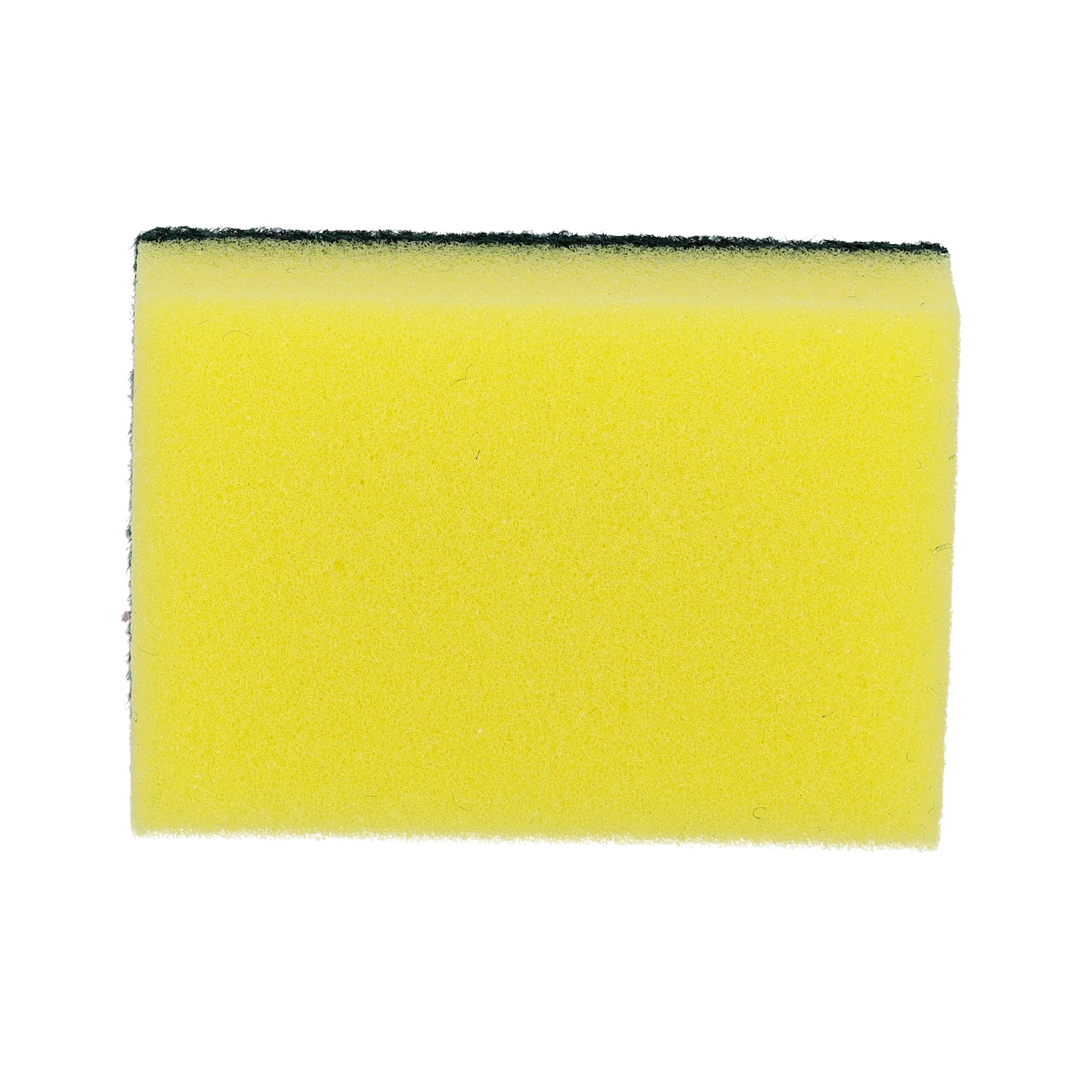 Rosele Wilkin's Scouring Pad