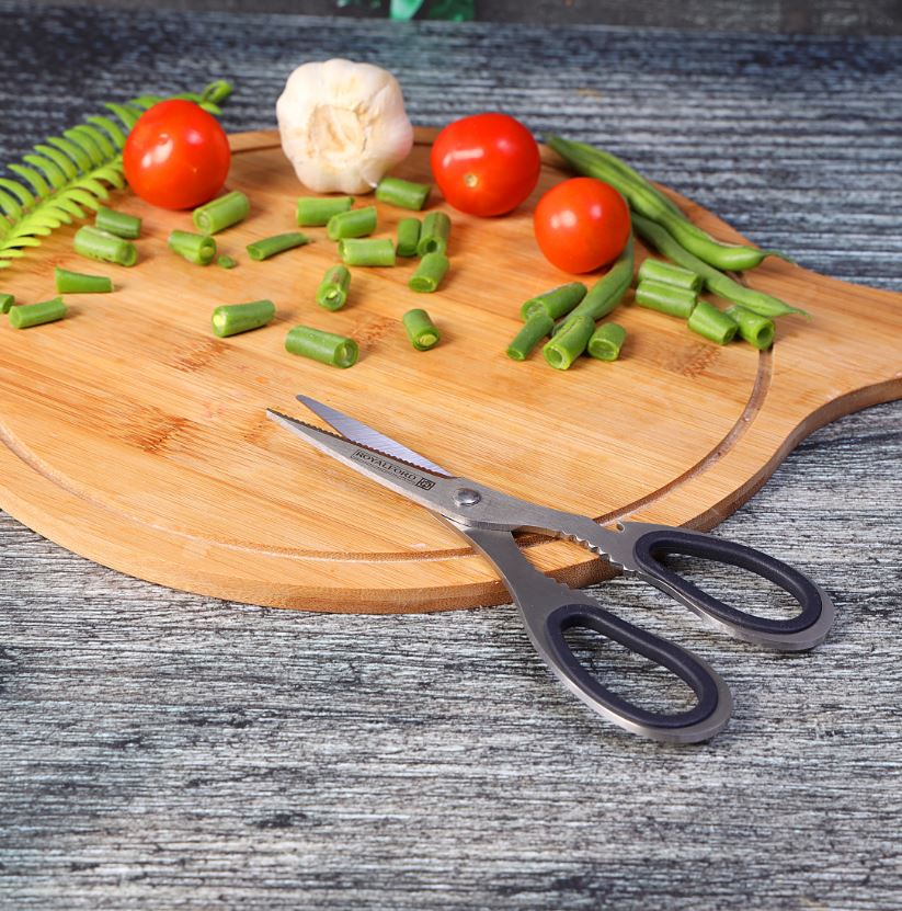 Stainless Steel Scissors