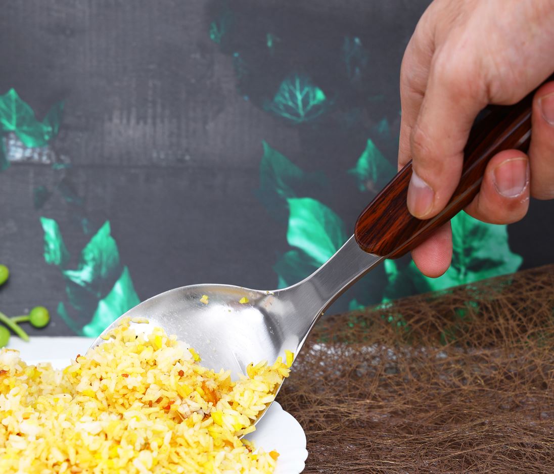 Stainless steel Rice Spoon